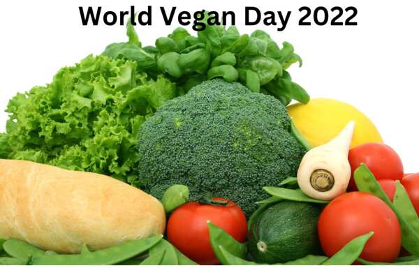 World vegan day 2022