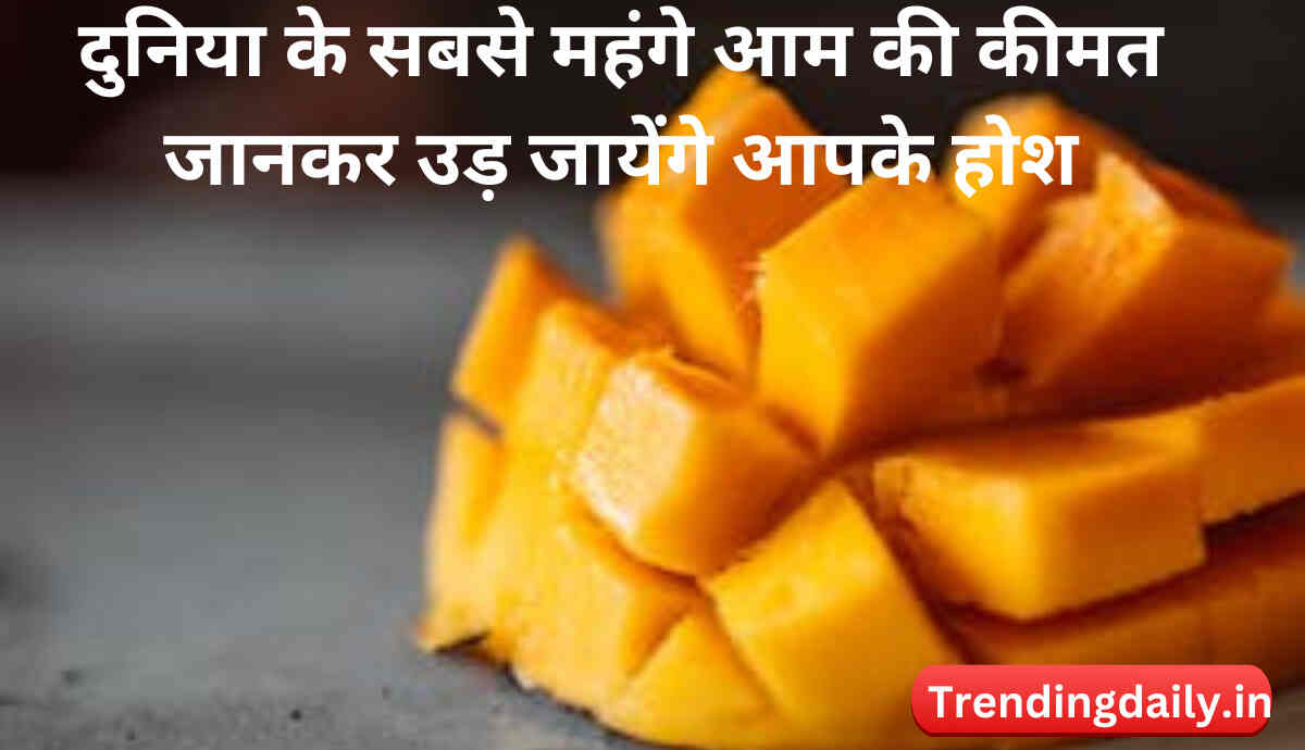 Most expensive Mangoes in the world in hindi